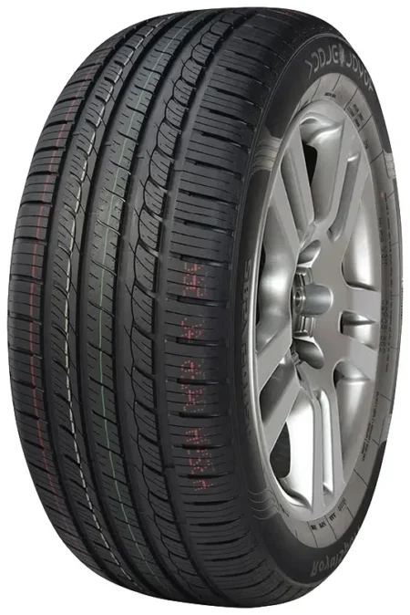 roayl sport